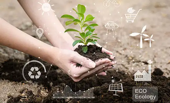 What Is a Biostimulant? Definition, Mechanisms & Market Trends